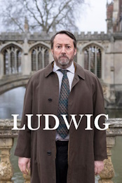 Ludwig.S01E05.1080p.WEB.H264-XME – 3.0 GB