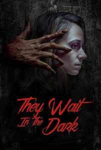 They.Wait.in.the.Dark.2022.1080p.WEB-DL.DD5.1.H.264-PSTX – 4.2 GB