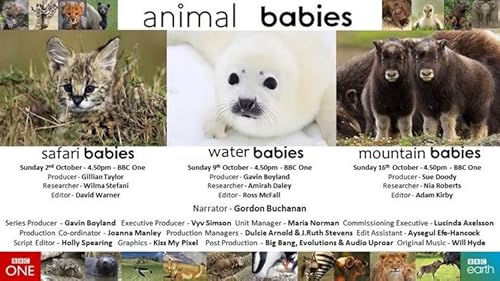 Animal Babies