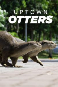 Uptown.Otters.S01.720p.AMZN.WEB-DL.DDP2.0.H.264-NTb – 10.9 GB