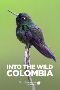 Into.the.Wild.Colombia.S01.2160p.AMZN.WEB-DL.DDP2.0.HEVC-NTb – 25.3 GB