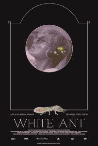 White.Ant.2023.1080p.WEB-DL.AAC2.0.x264-ZTR – 635.8 MB