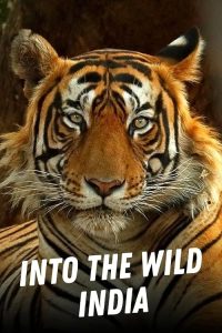 Into.The.Wild.India.S01.1080p.AMZN.WEBRip.DDP2.0.x264-NTb – 27.5 GB