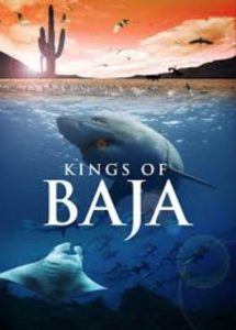 Kings.of.Baja.2014.2160p.WEB-DL – 6.0 GB