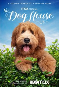 The.Dog.House.S05.1080p.ALL4.WEB-DL.AAC2.0.H.264-BTN – 11.6 GB