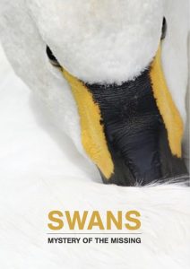 Swans.Mystery.of.the.Missing.2019.1080p.WEB.h264-POPPYCOCK – 1.5 GB