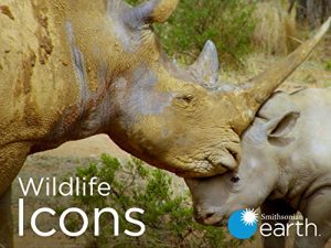 Wildlife.Icons.S02.2160p.AMZN.WEB-DL.DDP2.0.HEVC-NTb – 30.4 GB