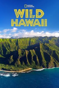 Wildes.Hawaii.S01.2013.720p.BluRay.DTS.x264-DON – 5.7 GB