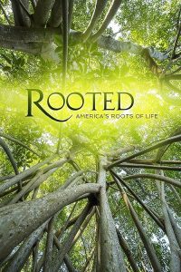 Rooted.S01.2160p.AMZN.WEB-DL.DDP2.0.HEVC-NTb – 25.5 GB