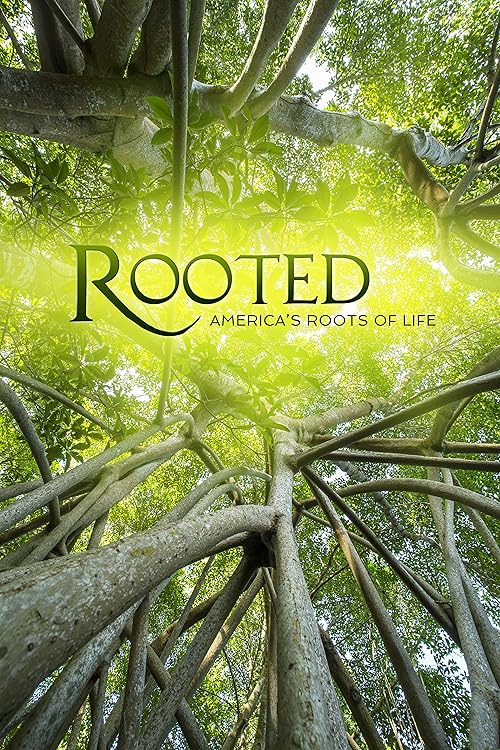 Rooted