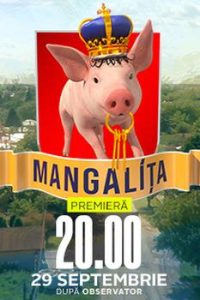 Mangalita.S02.1080p.NF.WEB-DL.DD+2.0.H.264-playWEB – 20.6 GB