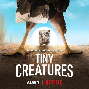 Tiny.Creatures.S01.2160p.NF.WEB-DL.DDP5.1.DV.HDR.H.265-FLUX – 20.9 GB