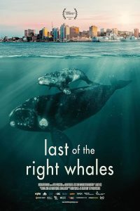 Last.Of.The.Right.Whales.2021.ALTERNATIVE.CUT.1080p.WEB.H264-CBFM – 2.2 GB