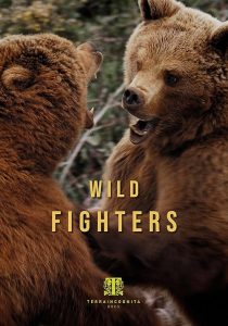 Wild.Fighters.S01.1080p.AMZN.WEB-DL.DDP2.0.H.264-NTb – 19.7 GB