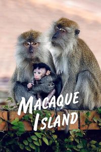 Macaque.Island.S01.1080p.AMZN.WEB-DL.DDP2.0.H.264-NTb – 9.1 GB