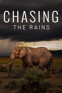 Chasing.the.Rains.S01.2160p.AMZN.WEB-DL.DDP2.0.HEVC-NTb – 21.2 GB