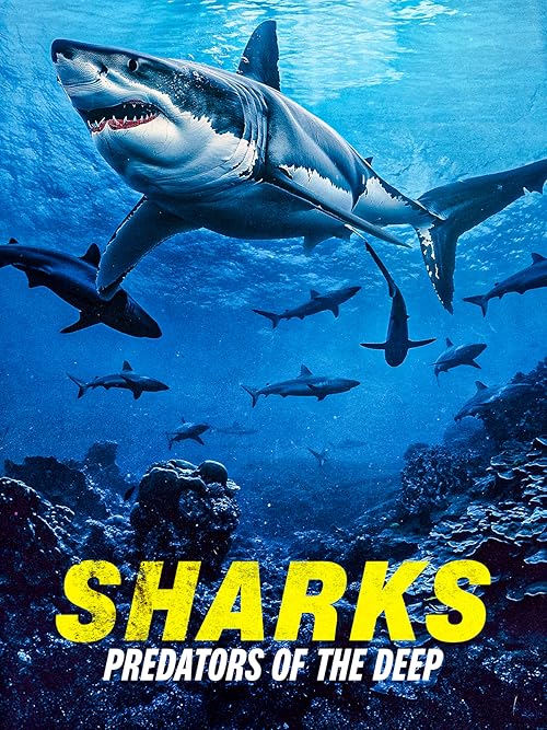 Sharks: Predators of the Deep