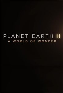 Planet.Earth.II.A.World.of.Wonder.2017.1080p.AMZN.WEB-DL.DDP2.0.H.264-vase – 4.7 GB