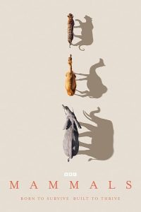 Mammals.2024.S01.1080p.Bluray.DD+5.1.x264-c0kE – 40.9 GB