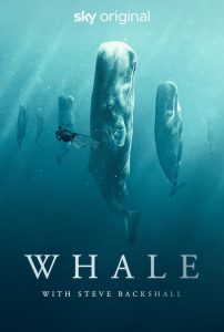 Whale.With.Steve.Backshall.S01.1080p.NOW.WEB-DL.DDP5.1.H.264-RAWR – 11.3 GB