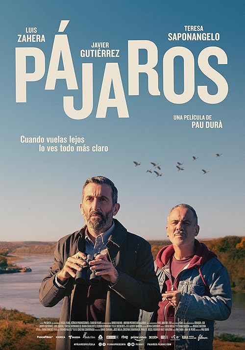 Pájaros