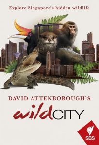 Wild.Cities.S01.1080p.RTE.WEB-DL.AAC2.0.H.264-NioN – 8.6 GB