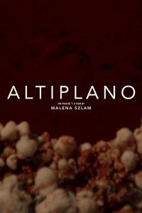 Altiplano.2018.720p.VIMEO.WEB-DL.AAC2.0.H.264-Cinefeel – 245.4 MB