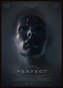 Perfect.2019.1080p.AMZN.WEB-DL.DDP5.1.H.264-NTG – 4.3 GB