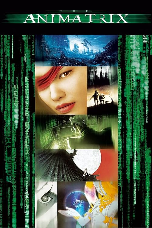 The.Animatrix.2003.1080p.BluRay.REMUX.VC-1.TrueHD.5.1-EPSiLON – 16.3 GB