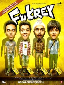 Fukrey.2013.1080p.Blu-ray.Remux.AVC.DTS-HD.MA.5.1-HDT – 31.2 GB