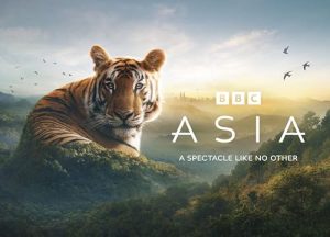 Asia.2024.S01.1080p.iP.WEB-DL.AAC2.0.HFR.H.264-RAWR – 18.9 GB