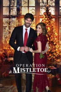 Operation.Mistletoe.2024.1080p.HULU.WEB-DL.DDP5.1.H.264-FLUX – 3.3 GB