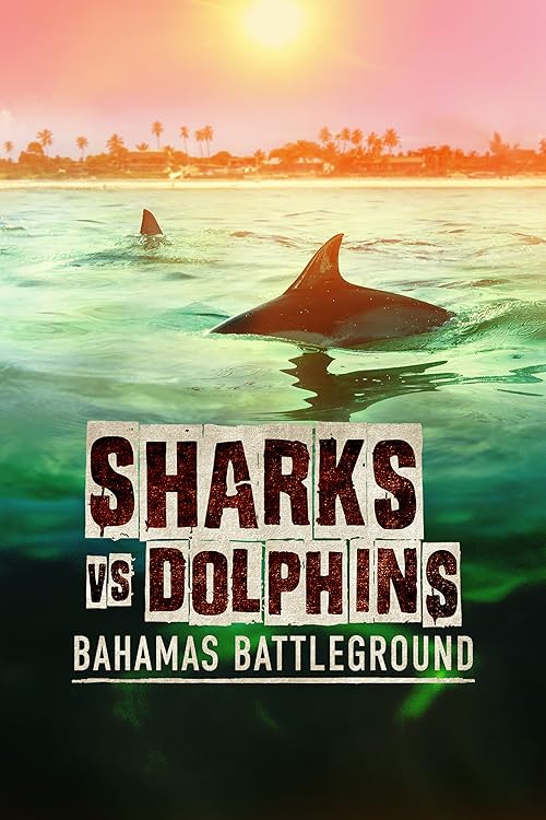 Sharks vs Dolphins: Bahamas Battleground