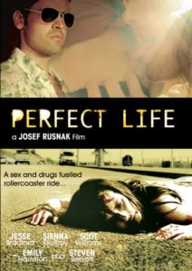 Perfect.Life.2010.720p.WEB.h264-DiRT – 1.3 GB