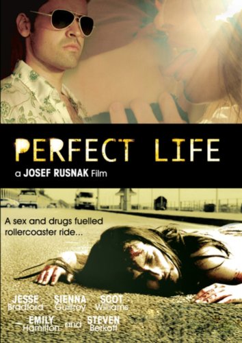 Perfect.Life.2010.720p.WEB.h264-DiRT – 1.3 GB