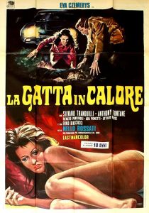 La.gatta.in.calore.1972.1080p.BluRay.FLAC.2.0.x264-SPHD – 16.2 GB