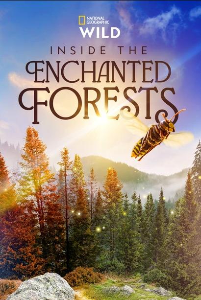 Inside.the.Enchanted.Forests.S01.720p.DSNP.WEB-DL.DDP5.1.H.264-NTb – 7.2 GB