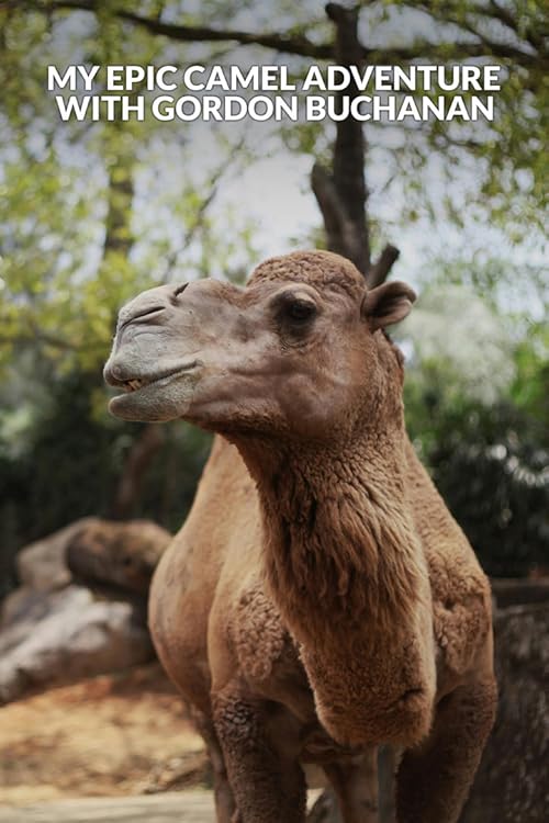 My Epic Camel Adventure with Gordon Buchanan