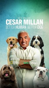 Cesar.Millan.Better.Human.Better.Dog.S05.720p.AMZN.WEB-DL.AAC2.0.H.264-Hagnar – 14.3 GB