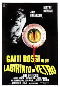 Gatti.rossi.in.un.labirinto.di.vetro.1975.Eyeball.2160p.Bluray.Remux.DoVi.HDR10.HEVC.FLAC.2.0-VHS – 62.7 GB