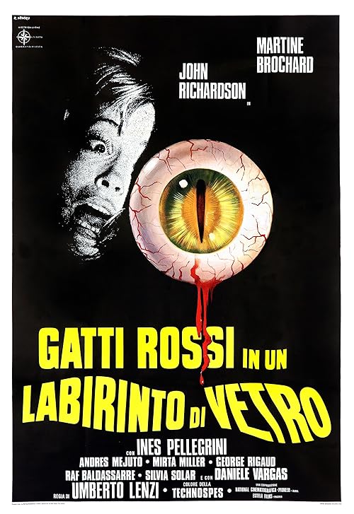 Gatti rossi in un labirinto di vetro