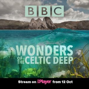 Wonders.of.the.Celtic.Deep.S01.1080p.BluRay.x264-TABULARiA – 26.0 GB