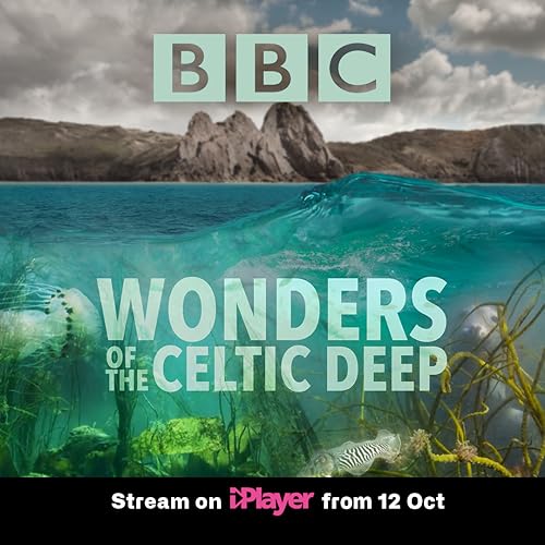 Wonders of the Celtic Deep