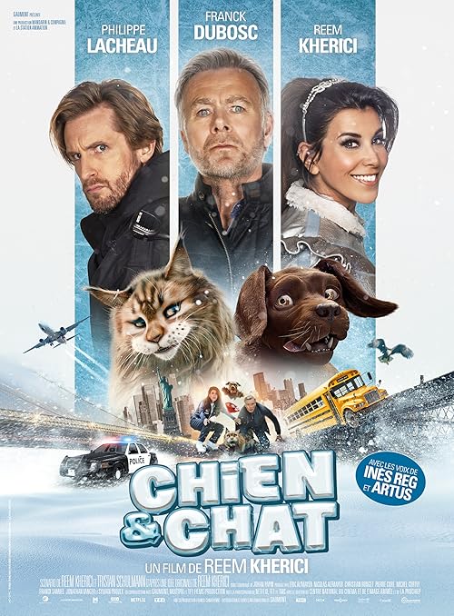 Chien & chat