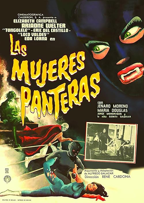 Las mujeres panteras