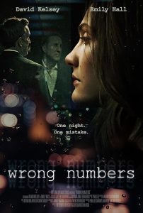 Wrong.Numbers.2024.720p.WEB.h264-DiRT – 931.4 MB