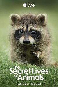 The.Secret.Lives.of.Animals.S01.720p.ATVP.WEB-DL.DDP5.1.Atmos.H.264-FLUX – 7.3 GB