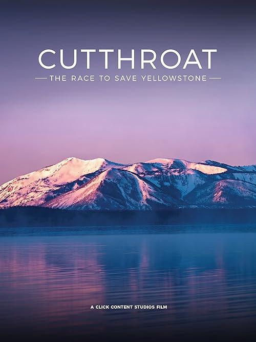 Yellowstone: A Cutthroat Business