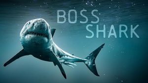 Boss.Shark.2024.1080p.WEB.H264-CBFM – 2.8 GB