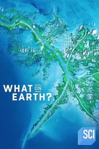 What.on.Earth.S02.1080p.DSCP.WEB-DL.AAC2.0.H.264-BTN – 17.5 GB